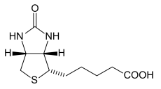 definition biotine cheval_biotine chevaux